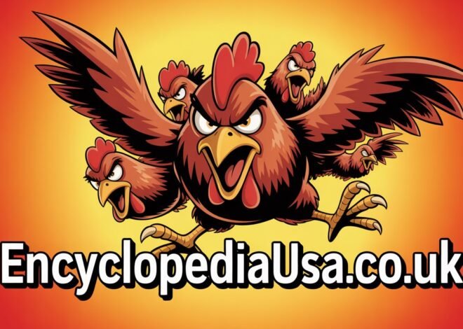 Angry Chickz: The Ultimate Guide to Nashville’s Hottest Fried Chicken Sensation 2026