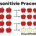 Associative Property