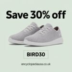 Allbirds Discount Code