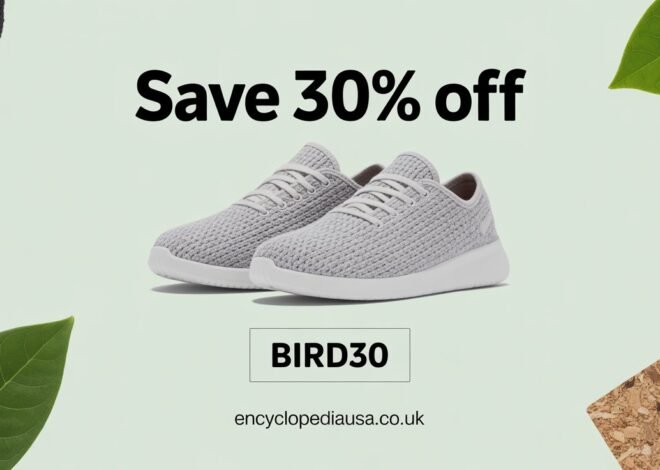 Allbirds Discount Code: Best Savings You Cannot Miss