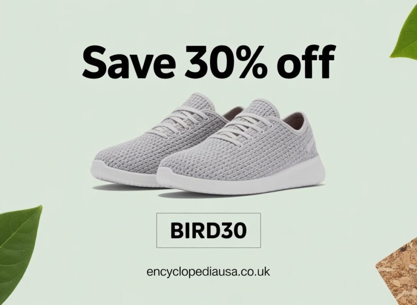 Allbirds Discount Code: Best Savings You Cannot Miss