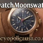 swatch moonswatch