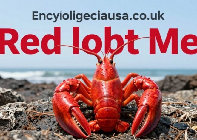 Red Lobster Near Me: Best Tips to Find, Visit, and Enjoy in 2026