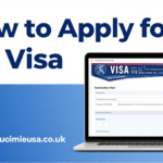 How to Apply for a US Visa Online