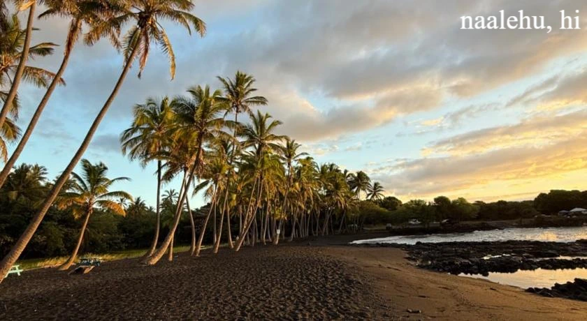 Naalehu, HI: The Charming Yet Vulnerable Southern Gem in 2026